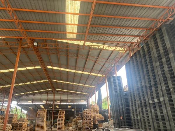 ⡴ѧ���ͧ �� PL BUA