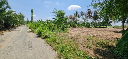 ที่ดิน 21 ไร่ ที่ดิน 21 ไร่