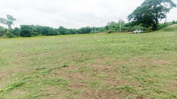 ����Ҫ �� patthavip1