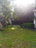 ��ҹ����� ������