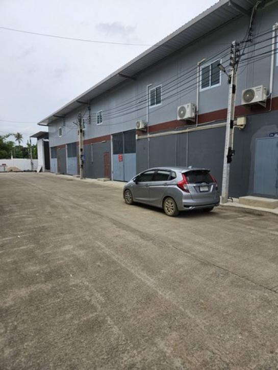 ⡴ѧ�ź��� �� natanong78