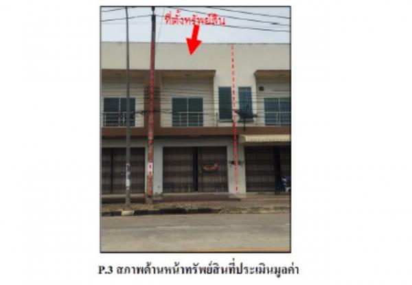 ʧ��� �� panaya.opalopal