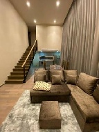 �͹� �����ѹ