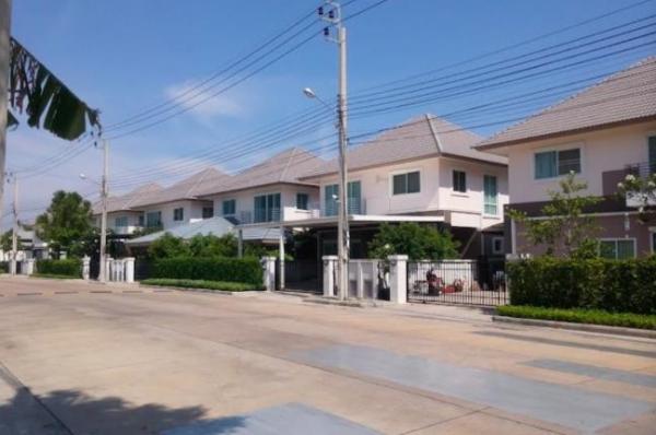 ��ҹ�ҧ��� �� coasset22