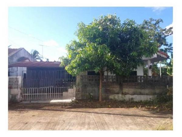 ��ҹʧ��� �� panaya.opalopal