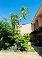 ��ҹ �оҹ�٧ 55 ���ҧ��