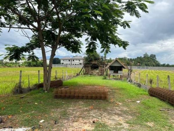 �ѹ���� �� northern1