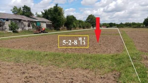 �ѹ��ᾧ �� onanong khumaphao