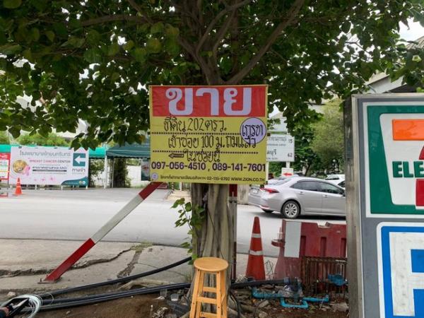 ���⢹� �� zionasset1