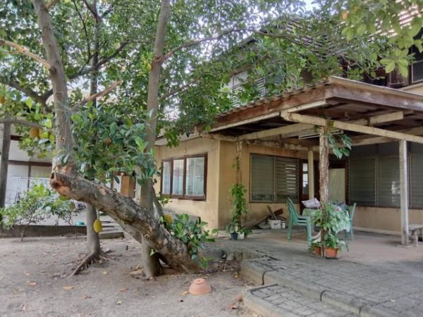 ���Թ�Ѳ�� �� asangha PL