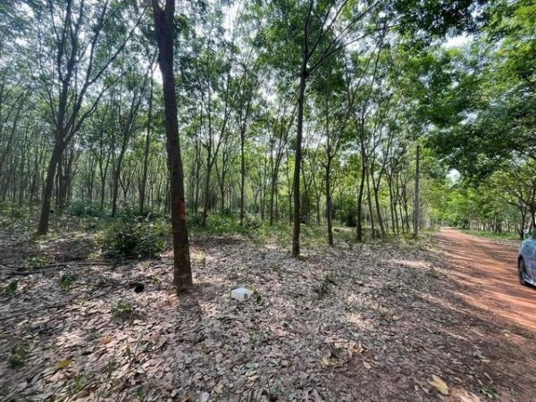 ���ʹԤ� �� goodlada24