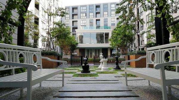 �Թᴧ �� kulchaya1