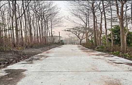 ���Թ ���ǹ �����