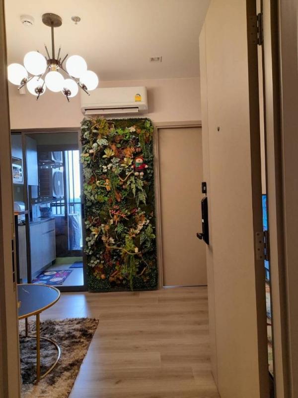 ���ͧ ������� �� All Living