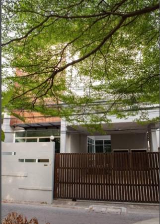 ��ҹ�Ѳ�� �� Nan