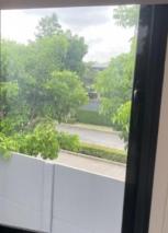 ��ҹ ���ͧ 51 ���ҧ��