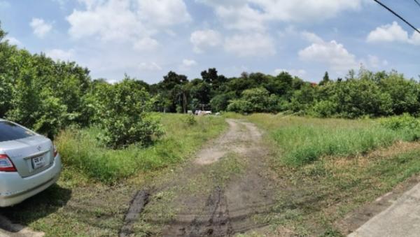 ��ا෾ �� Nan