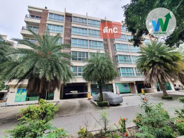 �͹ⴾ����������� �ѧ�ͧ��ҧ