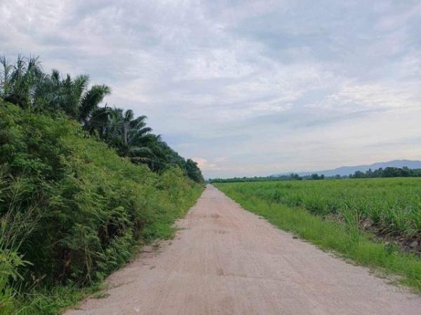 ��ͷͧ �� goodlada24