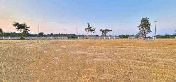 ����� �� onanong khumaphao