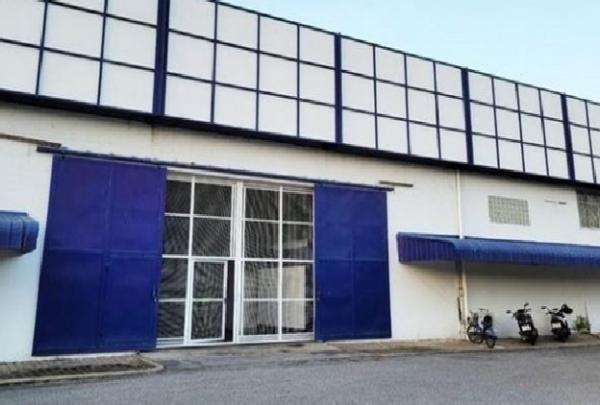 ���⢹� �� Jenpong