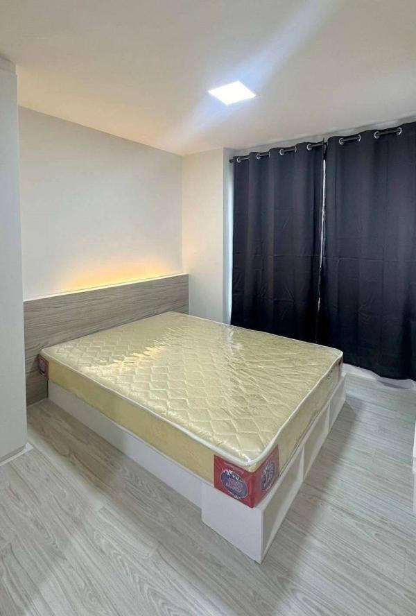 DD Asset �Ѻ��������ѧ�������Ѿ��