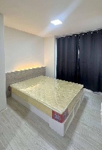 ������ �͹�