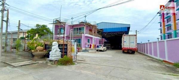 ���⡴ѧ 17,000,000 �ҷ