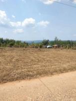 ��·��Թ �Ҥһ�С�Ȣ�� 550,000 �ҷ