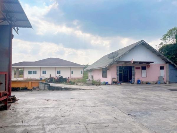 ���ʹԤ� �� goodlada24