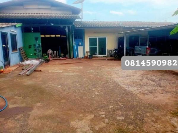 ��ͷͧ �� goodlada24