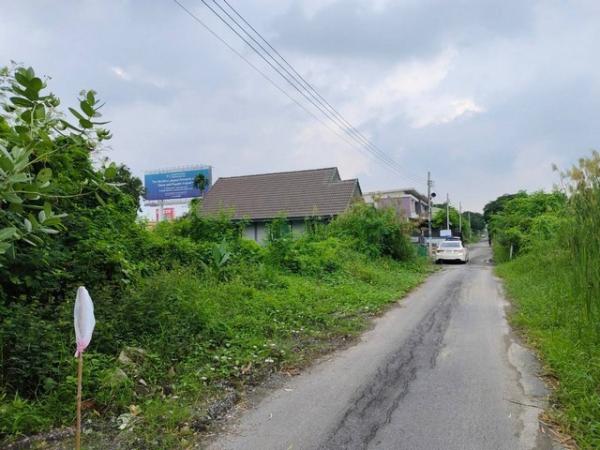 �ź��� �� kulchaya1