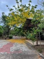 ��·��Թ �Ҥһ�С�Ȣ�� 30,000,000 �ҷ