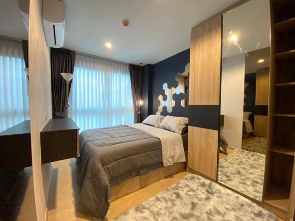 DD Asset �Ѻ��������ѧ�������Ѿ��