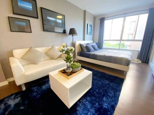 �͹⴪��� �� DD Asset �Ѻ��������ѧ�������Ѿ��