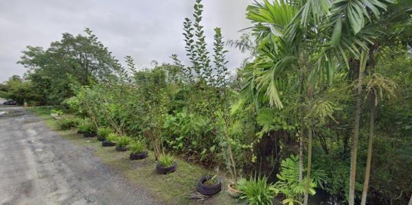 ���Թ���ͧ �� HarrisonTH