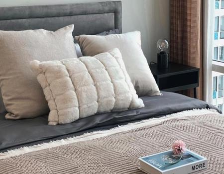 �͹������� 24 ���ҧ��