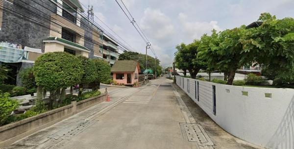 �ѧ�ͧ��ҧ �� HarrisonTH