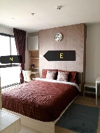 �͹� �ҧ��