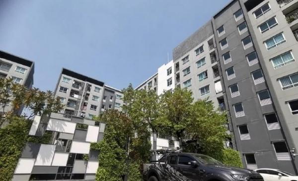 �ҧ�͹ �� panaya.opalopal