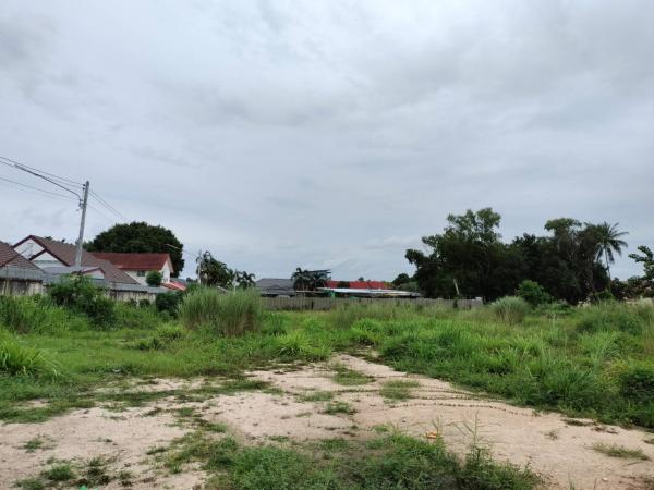 ที่ดิน pattaya ที่ดิน pattaya