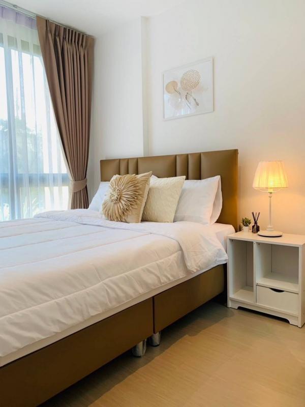 �ҧ�л� �� DD Asset �Ѻ��������ѧ�������Ѿ��