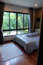 ��ҹ����� �ҧ��� 72 ���ҧ��