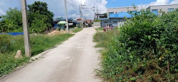 �ҧ���ا �� sopa