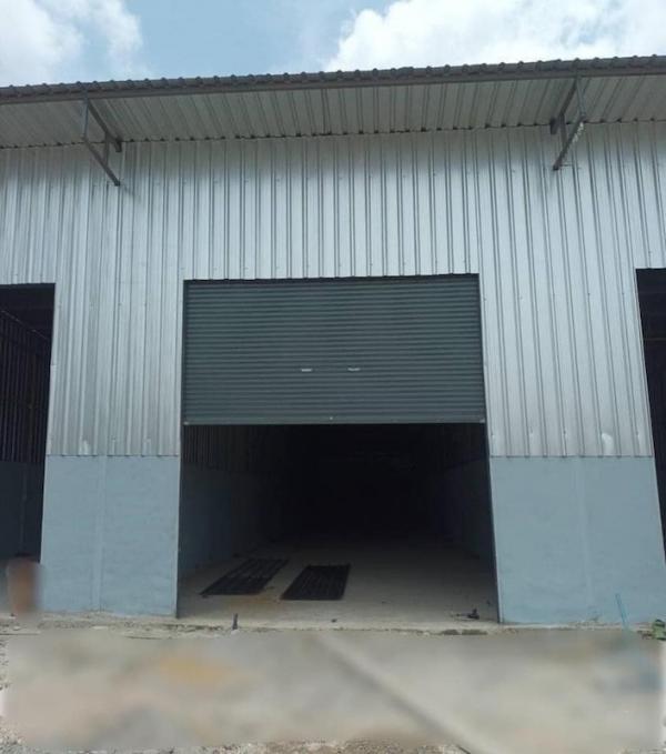 ⡴ѧ���ͧ �� PL BUA