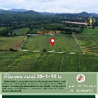 ���Թ ����������õ�