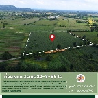 ��·��Թ ����������õ�