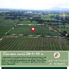 ��� ���Թ ����������õ�