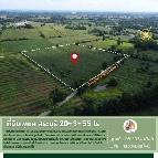 ���Թ ����������õ�