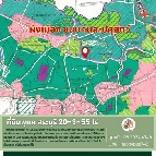 ���Թ 8,355 ���ҧ��